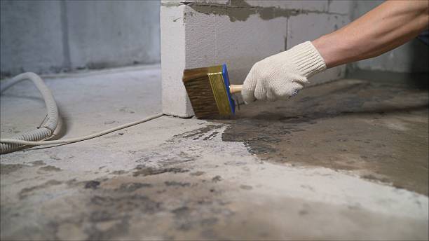 SJ Waterproofing Pros Emergency Waterproofing coverage map for Niles, OH and surrounding area